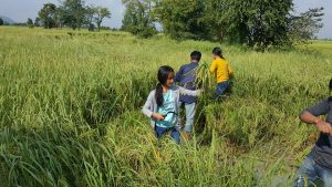 Solo traveler in Cambodia: 5 things to do